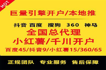 行业领先的SEM投放效果案例解析
